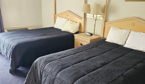 Basic Double Room