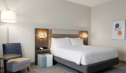 Standard Room, 1 King Bed, Accessible Bathtub (Accessible Tub)
