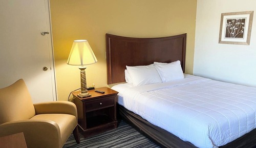 Classic Room, 1 King Bed, Non Smoking