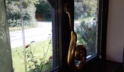 Comfort Apartment, Courtyard View