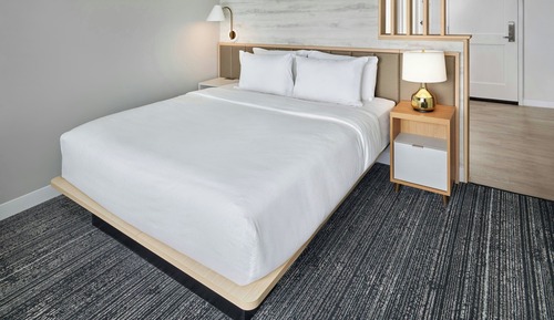 Studio Suite, 1 King Bed with Sofa bed