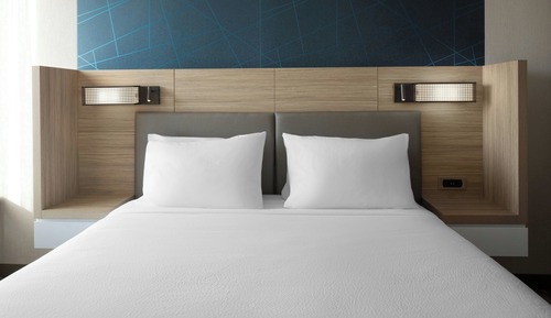 Suite, 1 King Bed (Mobility/Hearing Access, Roll-in Shwr)