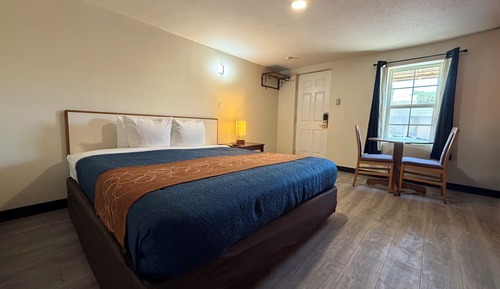 Economy Single Room