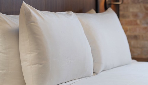 Standard Room, Roll-in Shower