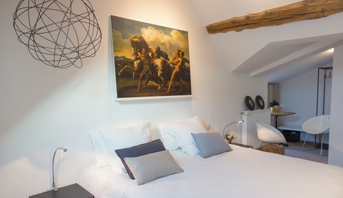 Superior Double or Twin Room, Vineyard View