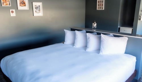 Room, 1 King Bed