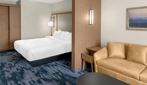 Standard Room, 1 King Bed with Sofa bed (Mobility/Hearing Access, Roll-in Shwr)