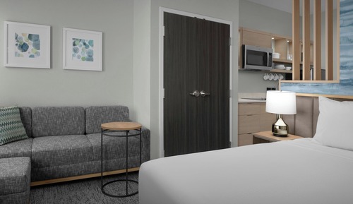 Studio, 1 King Bed with Sofa bed