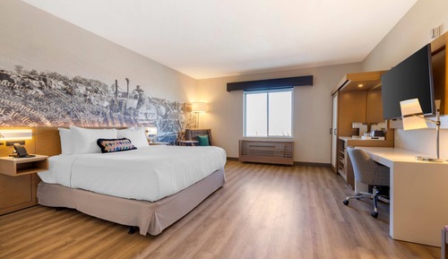 Room, 1 King Bed, Accessible, Non Smoking