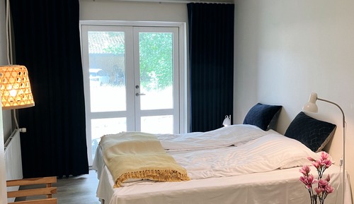 Studio, 1 King Bed