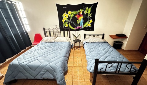 Basic Triple Room