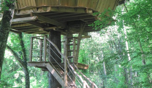 Tree House, Garden View