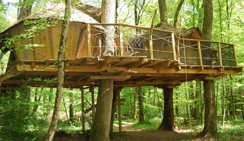 Tree House