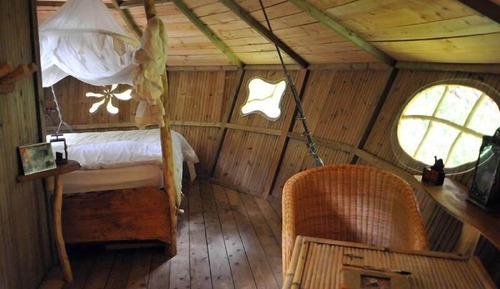 Tree House, Garden View