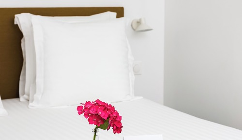 Exclusive House, Garden View