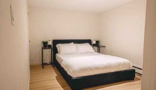 Basement Suite