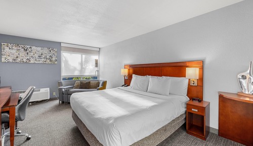 Room, 1 King Bed, Non Smoking
