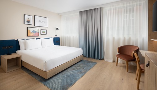 Room, 1 King Bed