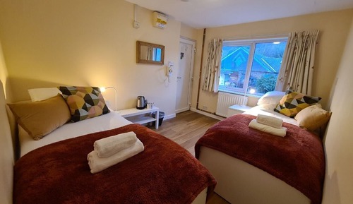 Standard Twin Room, Mountain View