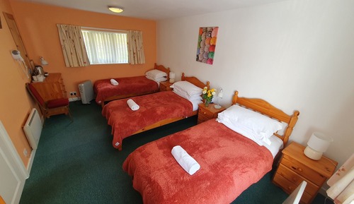 Standard Triple Room, Mountain View