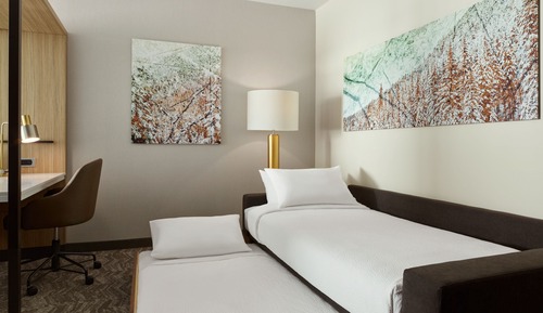 Suite, 1 King Bed with Sofa bed (Hearing Accessible)