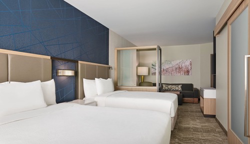 Suite, Multiple Beds (Mobility/Hearing Access, Roll-in Shwr)
