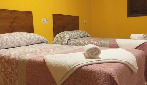 Classic Shared Dormitory