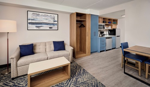 Studio Suite, 1 King Bed (Pet Friendly)