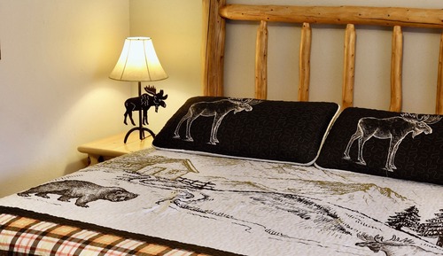 Single Room, 1 King Bed