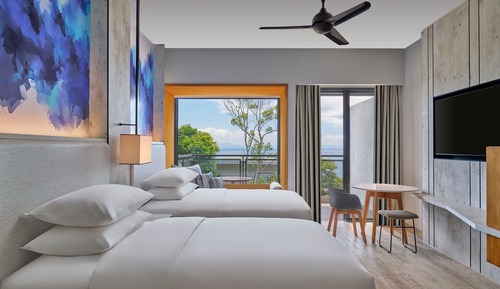 Deluxe Room, 2 Twin Beds (View)