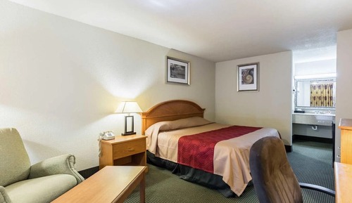 Room, 1 Queen Bed