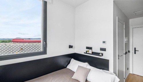 Basic Single Room