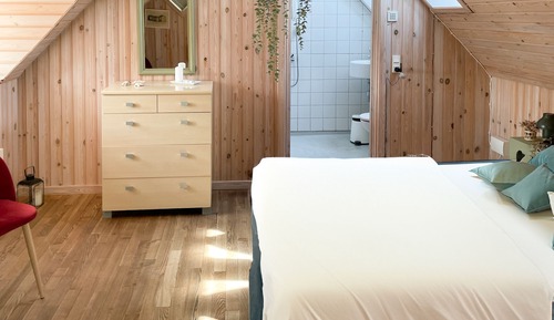 Basic Double Room