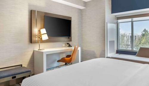 Traditional Room, 1 King Bed, Non Smoking