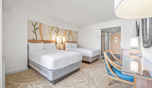 Beautiful Studio at Ala Moana 1330