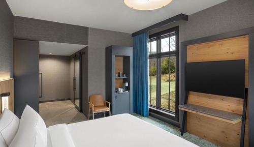 Room, 1 King Bed (Hearing)