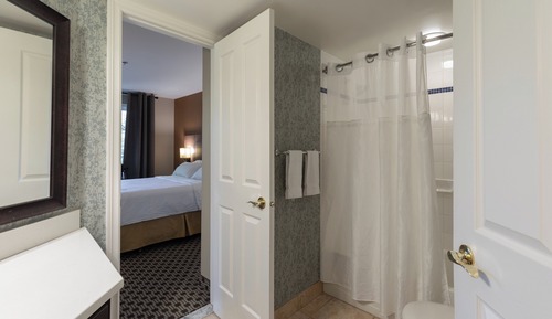 Suite, 1 Queen Bed with Sofa bed