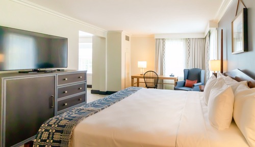 Suite, 1 King Bed with Sofa bed