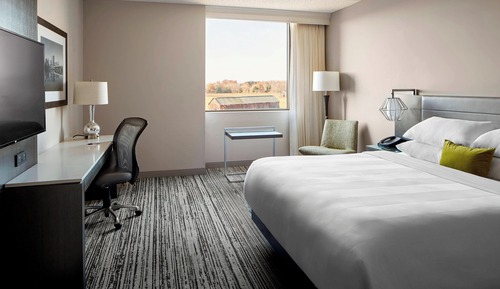 Room, 1 King Bed (Mobility/Hearing Access, Roll-in Shwr)