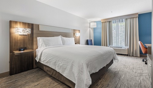 Suite, 1 King Bed