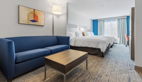 Suite, 1 King Bed with Sofa bed