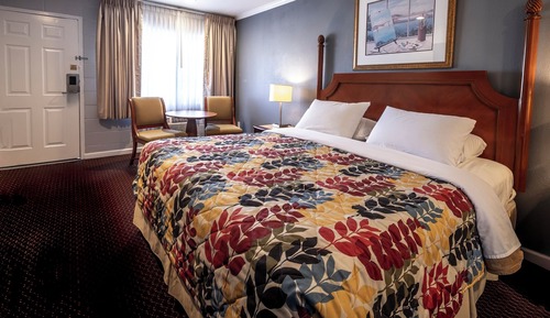 Standard Room, 1 King Bed, Non Smoking