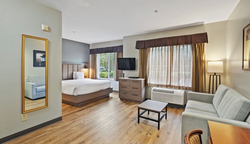 Studio Suite, 1 King Bed with Sofa bed, Non Smoking