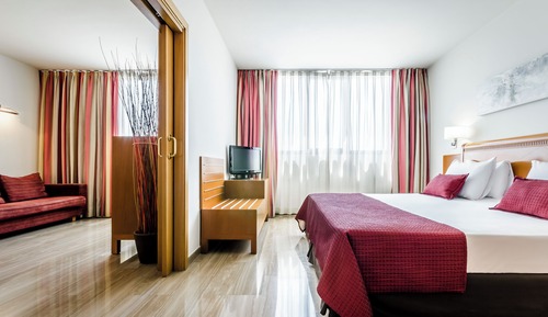 Suite, 1 King Bed (Single Use)