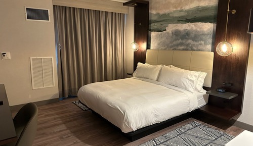 Room, 1 King Bed