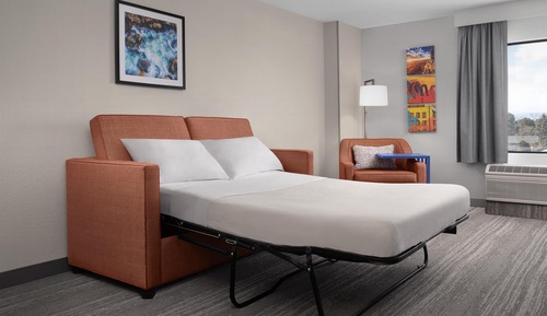 Suite, 1 King Bed, Mountain View