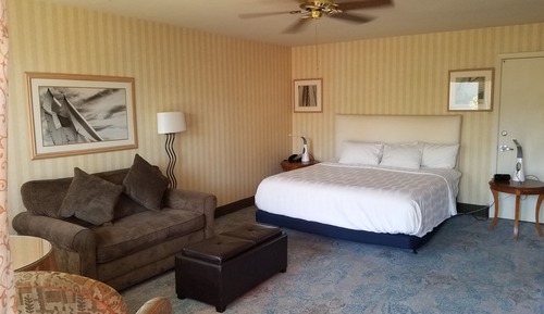 Standard Room, 1 King Bed, Mobility Accessible