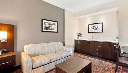 Executive Room, 1 King Bed, Non Smoking, Refrigerator & Microwave (with Sofabed)