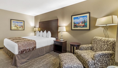 Standard Room, 1 King Bed, Non Smoking, Refrigerator (Pet Friendly)
