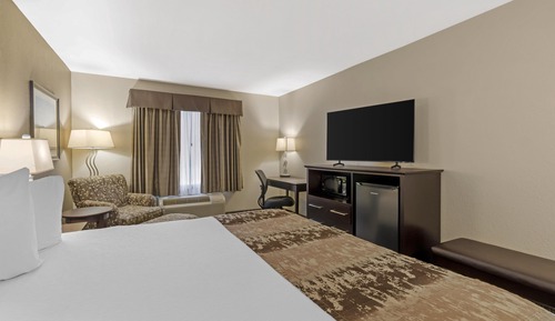 Standard Room, 1 King Bed, Non Smoking, Refrigerator